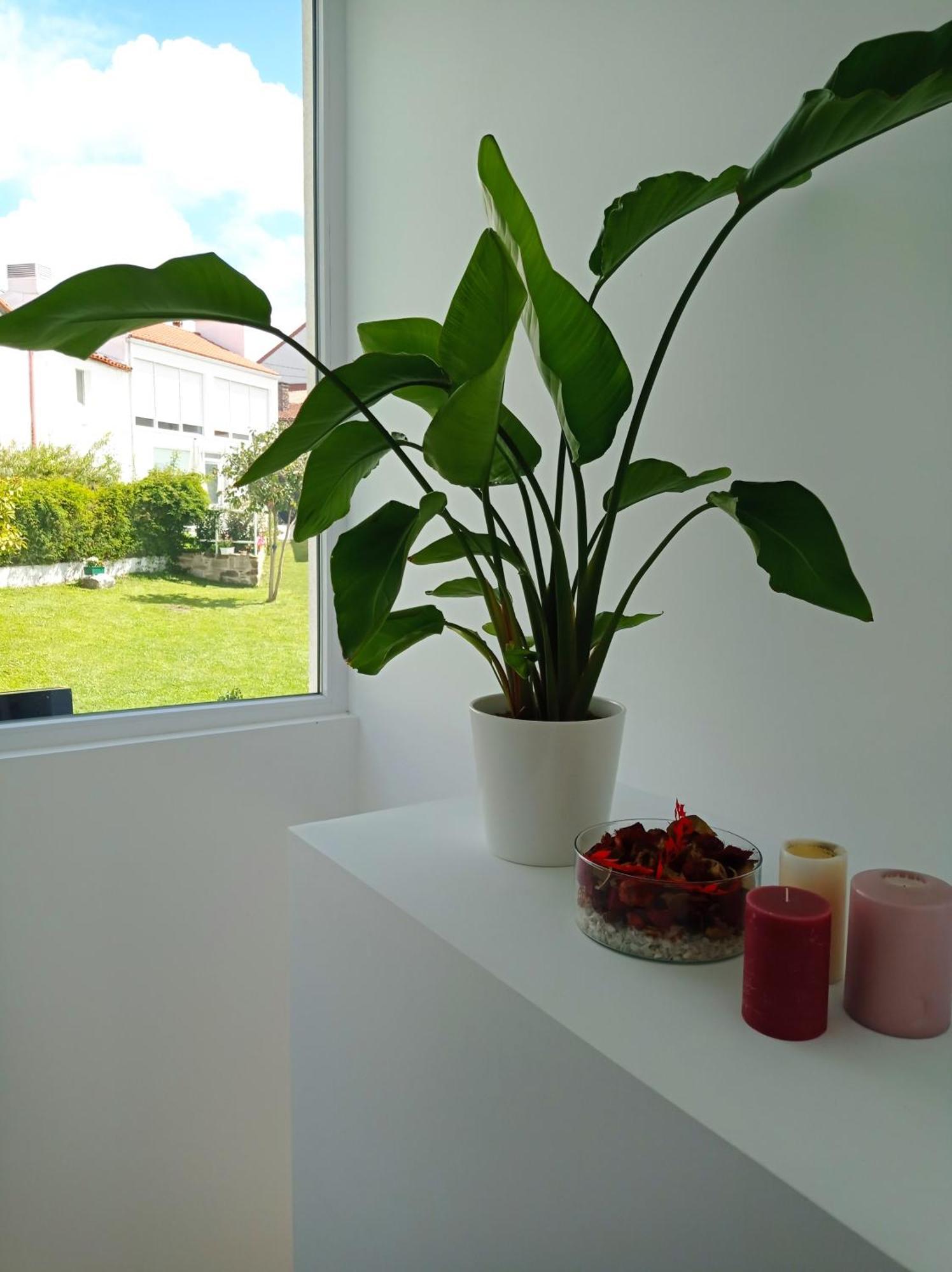 Casas Turisticas Lar Jardin - Parking Privado Santiago de Compostela Exterior foto