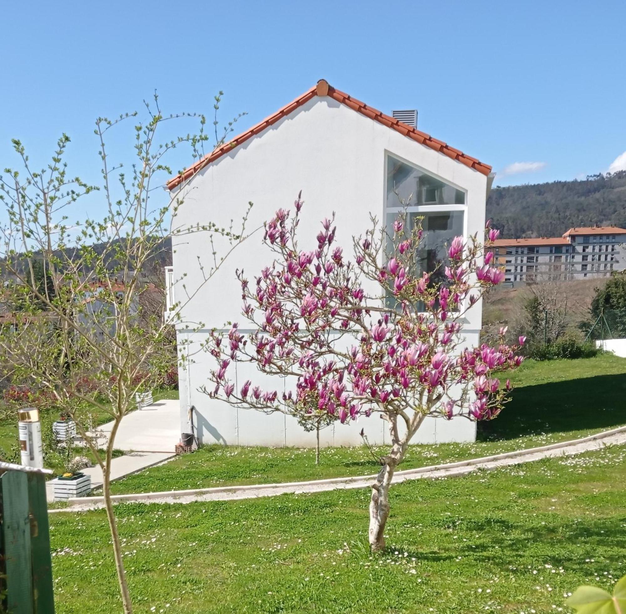 Casas Turisticas Lar Jardin - Parking Privado Santiago de Compostela Exterior foto