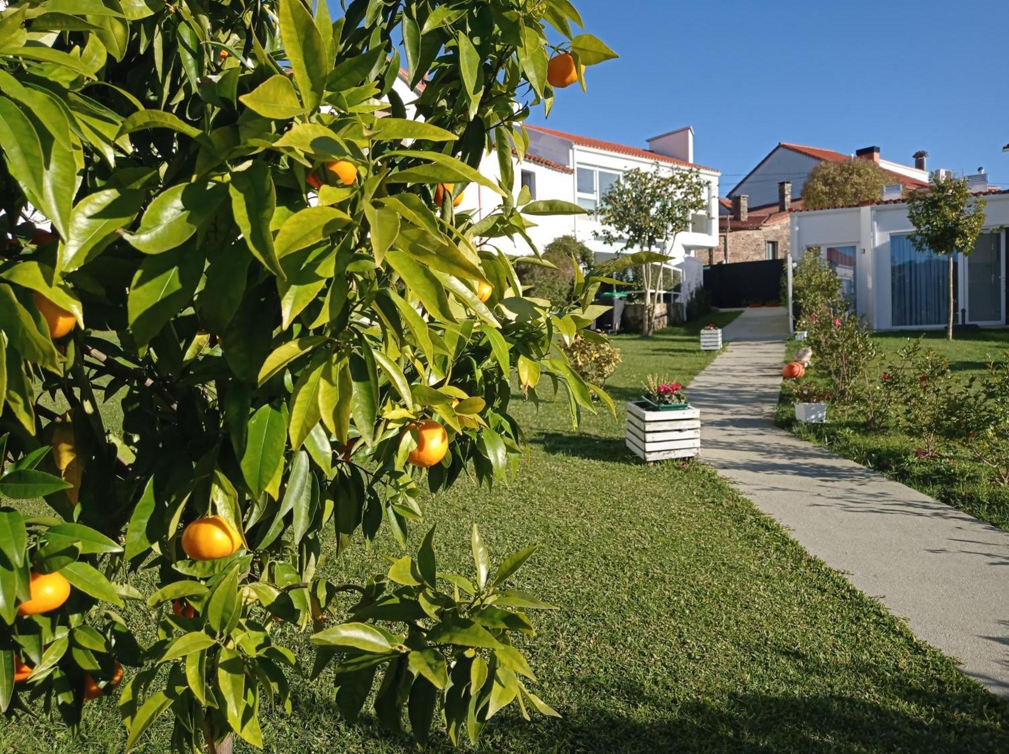 Casas Turisticas Lar Jardin - Parking Privado Santiago de Compostela Exterior foto