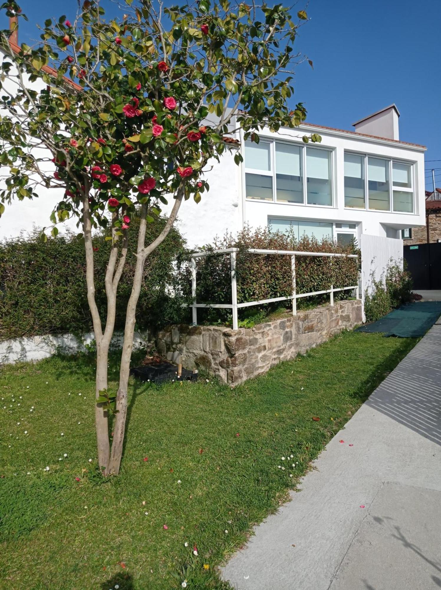 Casas Turisticas Lar Jardin - Parking Privado Santiago de Compostela Exterior foto